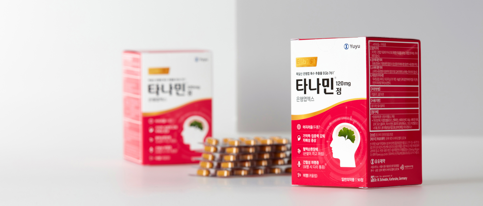 타나민정 제품 패키지와 정제 포장 타나민 120mg 정 앞면과 뒷면 상자, 블리스터 포장