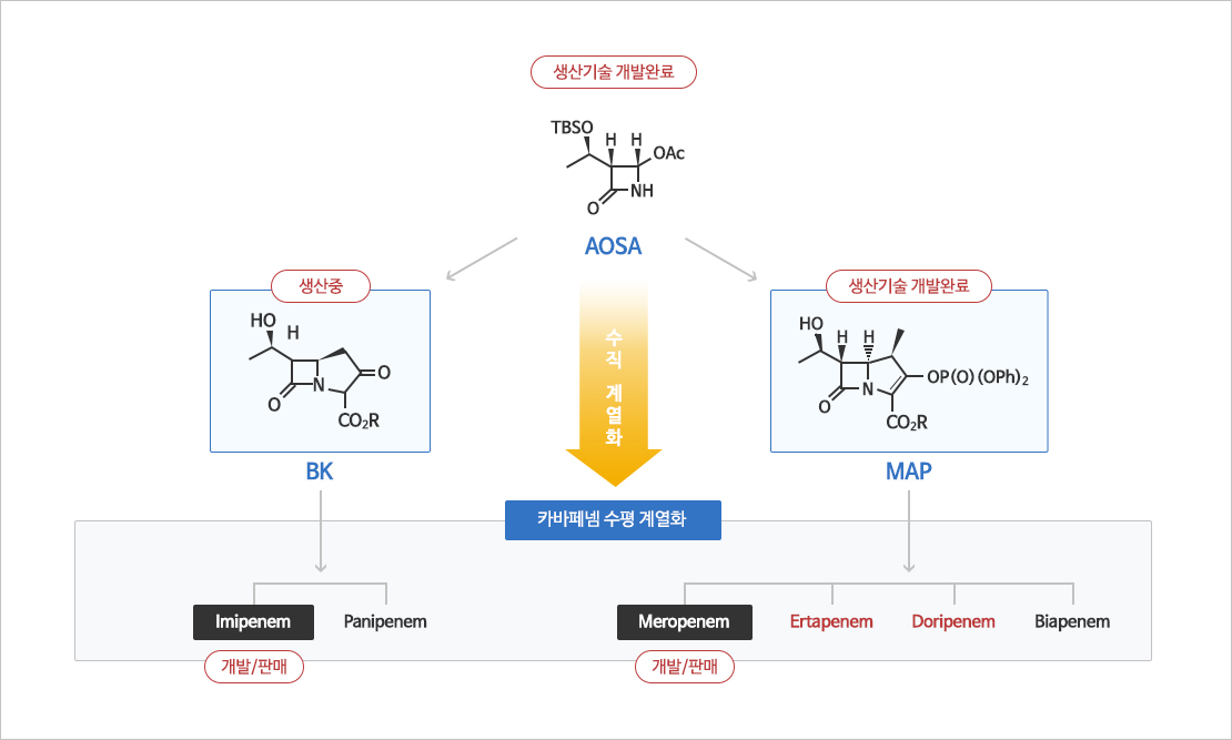 카바페넴 계열 제조 기술 구조 카바페넴 계열 구조와 AOSA·BK·MAP 중간체 및 제품 계열을 연결한 공정도