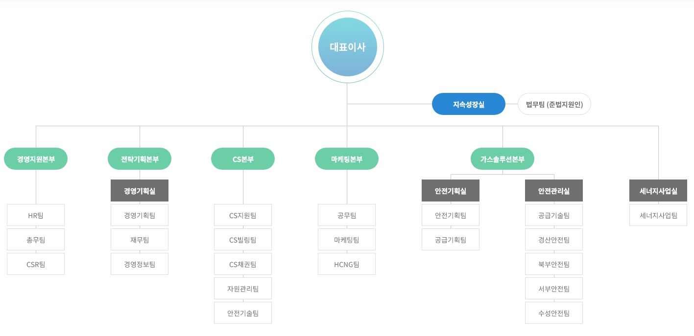 대성에너지의 가스솔루션·안전관리 조직도 대표이사 아래 경영지원·전략기획·CS·마케팅·가스솔루션본부와 각 팀을 표시한 조직도