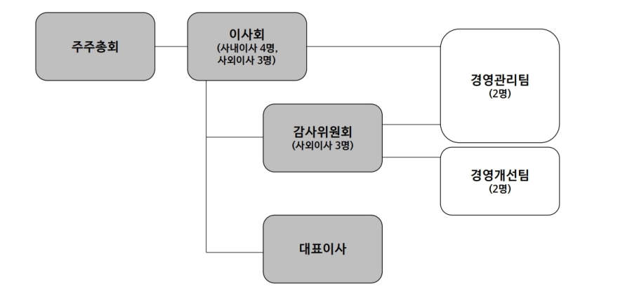 대성홀딩스 이사회 및 경영 조직도 주주총회, 이사회, 감사위원회, 대표이사와 경영관리팀·경영개선팀의 연결을 나타낸 조직도