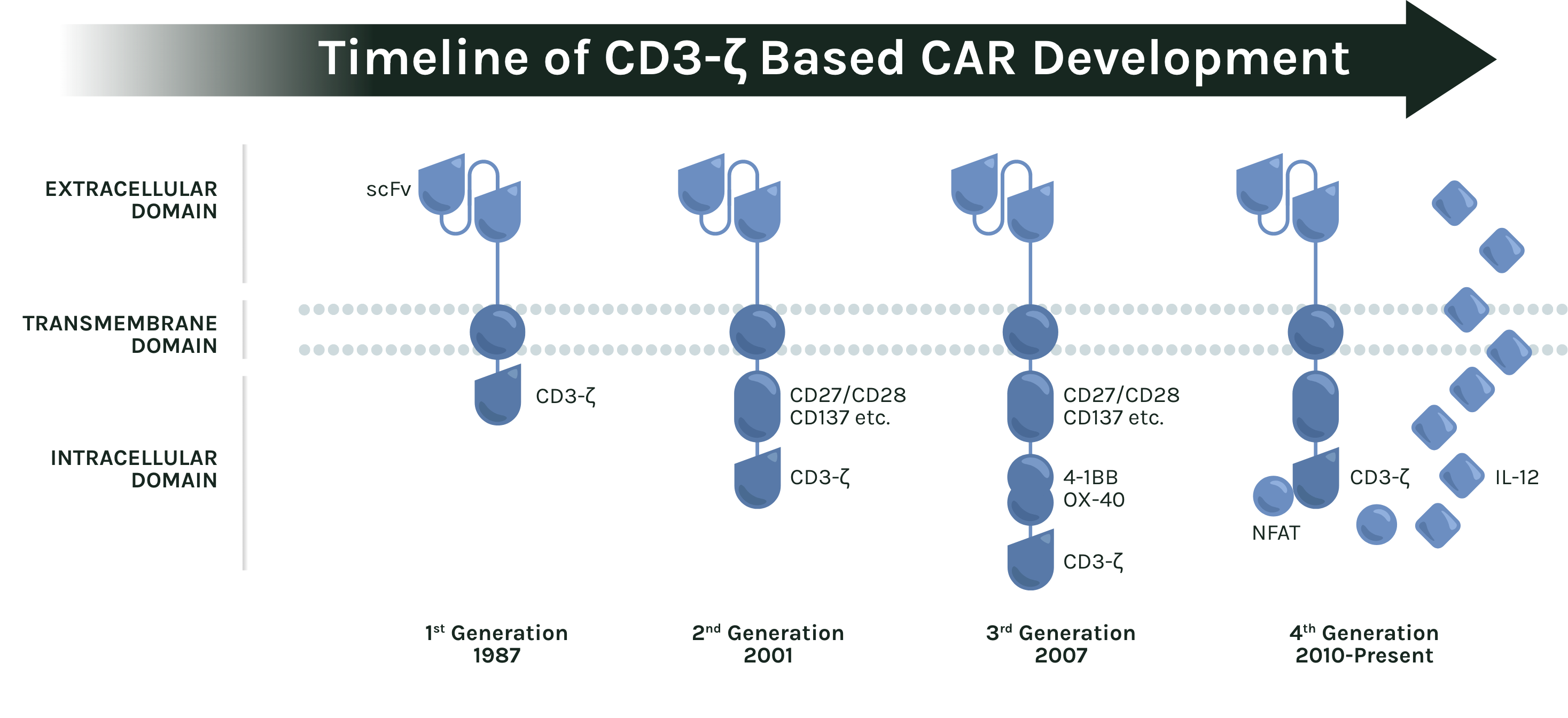CD3-ζ 기반 CAR 개발 세대 타임라인 1세대부터 4세대까지 CD3-ζ 기반 CAR 구성의 변화를 나타낸 타임라인