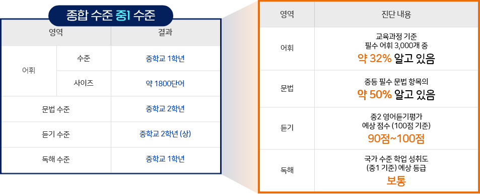 NELT 영역별 진단 결과 예시 어휘·문법·듣기·독해 영역별 진단 내용과 수준을 나란히 표시한 NELT 결과표