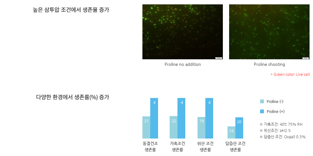 프로린 첨가 전후의 녹색 형광 세포 이미지와 생존율 막대그래프