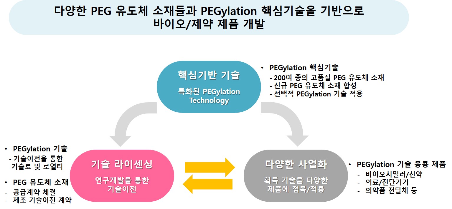 PEGylation 핵심기술과 기술이전·사업화 구조 PEG 유도체 소재, 기술 라이선싱, 사업화의 연결 구조를 보여주는 PEGylation 기술 개요도
