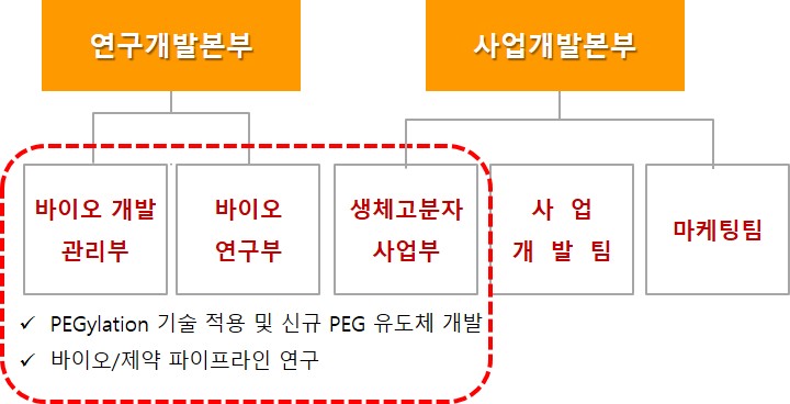 PEGylation 및 바이오·제약 파이프라인 연구개발 조직 연구개발본부와 사업개발본부 아래 바이오 개발·연구·생체고분자 사업 조직을 나타낸 조직도