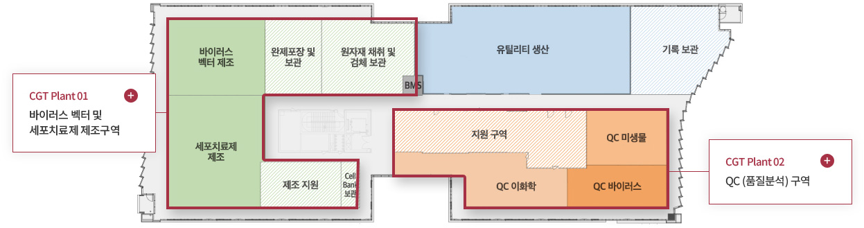 CGT Plant 제조·품질관리 구역 배치도 바이러스 벡터·세포치료제 제조, QC, 유틸리티 구역이 표시된 CGT Plant 도면