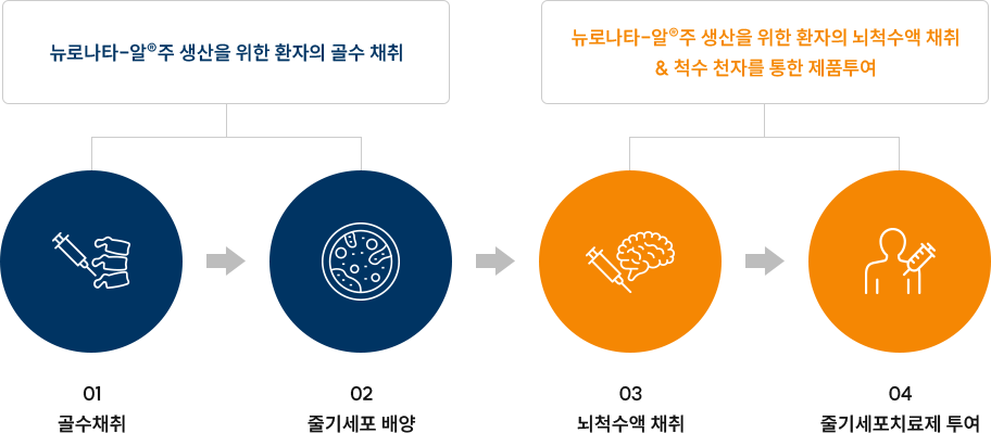 골수 채취, 세포 배양, 뇌척수액 채취 및 척수강 내 투여 순서를 나타낸 도식