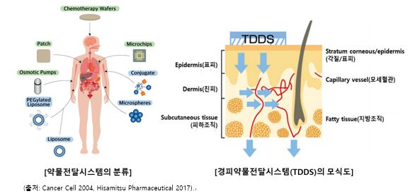 경피약물전달시스템(TDDS) 모식도 피부 단면, 약물 전달 경로, 여러 약물전달시스템을 함께 표시한 경피약물전달시스템 모식도
