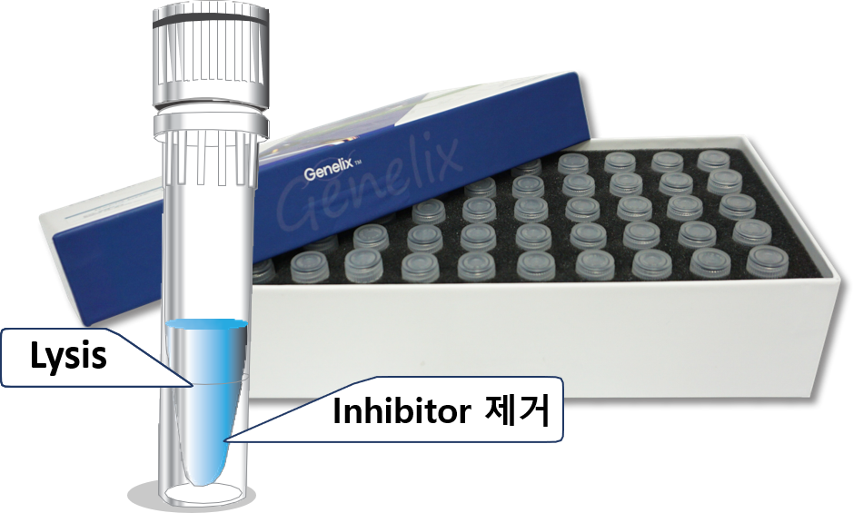 Genelix 핵산 추출 키트와 전처리 단계 Genelix 추출 키트 상자와 다수의 추출 튜브, Lysis 및 Inhibitor 제거 단계