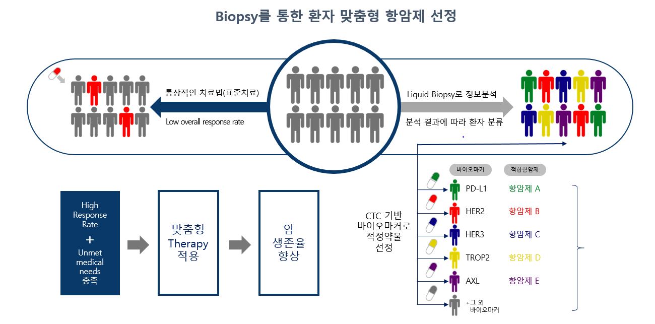 Biopsy를 통한 환자 맞춤형 항암제 선정 환자군을 바이오마커별로 분류해 항암제 A부터 E를 연결하는 CTC 기반 항암제 선정 도식