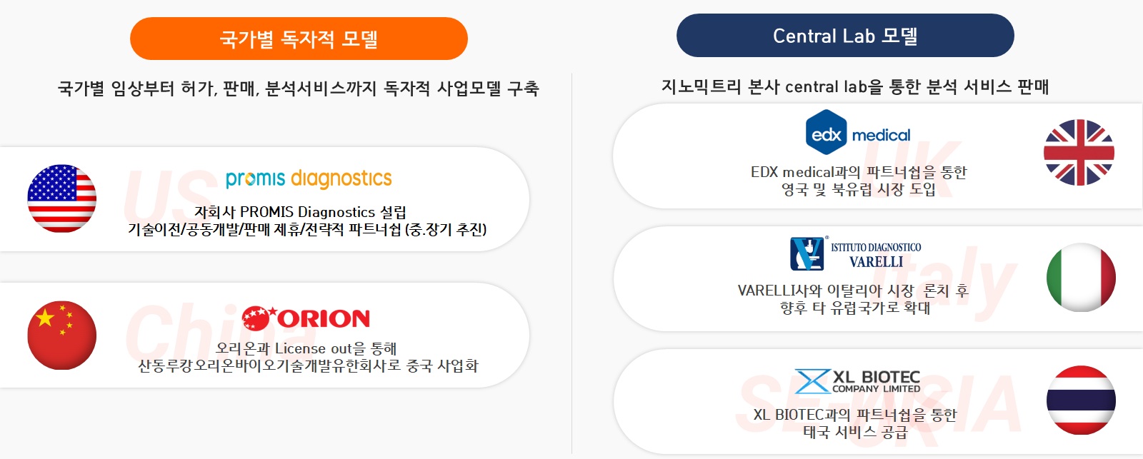 국가별 사업 모델과 Central Lab 기반 해외 파트너십 미국·중국·영국·이탈리아·태국 사업 파트너와 중앙 연구소 모델을 표시한 해외 사업 현황