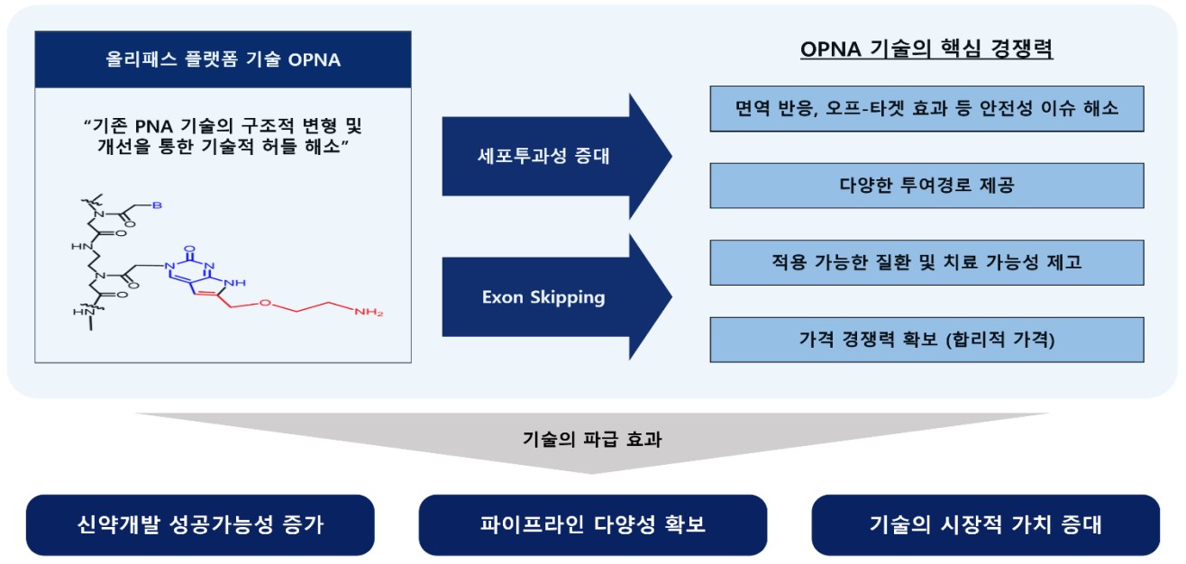 OliPass PNA 플랫폼 기술의 작동 특성과 적용 효과 OliPass PNA 플랫폼의 세포투과성 및 엑손 스키핑 효과와 경쟁력을 연결한 도식