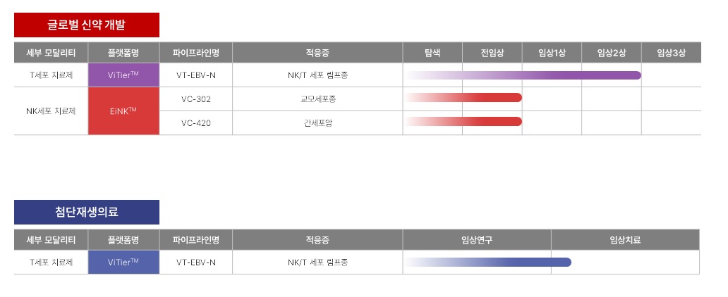 VT-EBV-N을 포함한 바이젠셀 주요 파이프라인 현황 ViTier와 EINK 파이프라인의 적응증 및 임상 단계가 표시된 개발 현황표