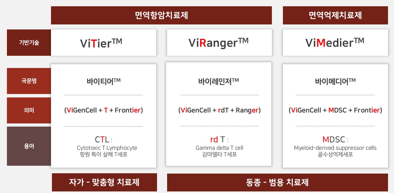 바이젠셀의 면역세포치료제 플랫폼 포트폴리오 ViTier·ViRanger·ViMedier의 치료 영역과 플랫폼 구성을 비교한 표