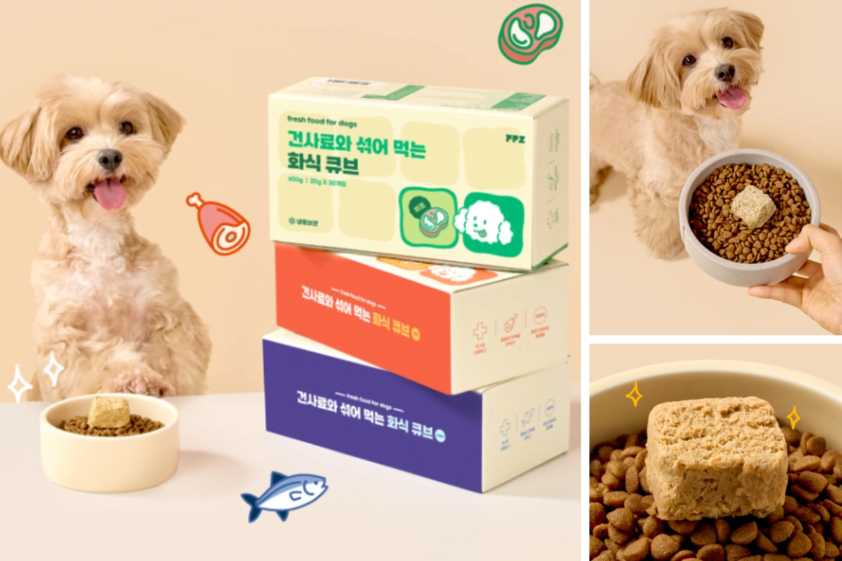PPZ 화식 큐브와 반려견 급식 장면 반려견 사료 그릇 옆에 쌓인 PPZ 화식 큐브 제품 상자와 큐브 사료