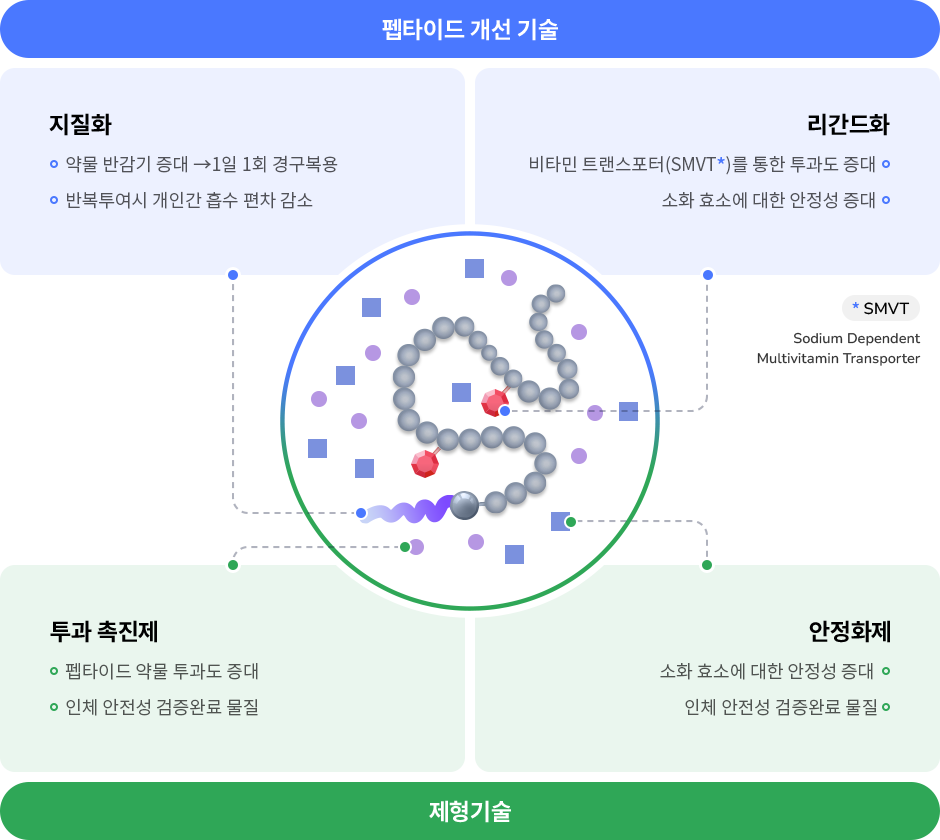 ORALINK 펩타이드 경구화 플랫폼 구성 기술 펩타이드 경구화 기술의 지질화·리간드화·투과 촉진제·안정화제 구성과 펩타이드 구조를 함께 나타낸 도식