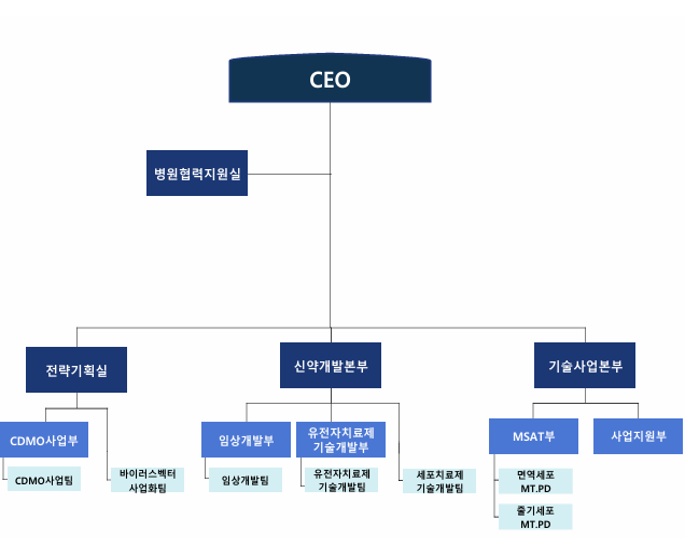신약개발본부와 유전자치료제 기술개발부를 포함한 연구개발부문 조직도 CEO 아래 신약개발본부와 유전자치료제 기술개발부 등으로 구성된 연구개발부문 조직도
