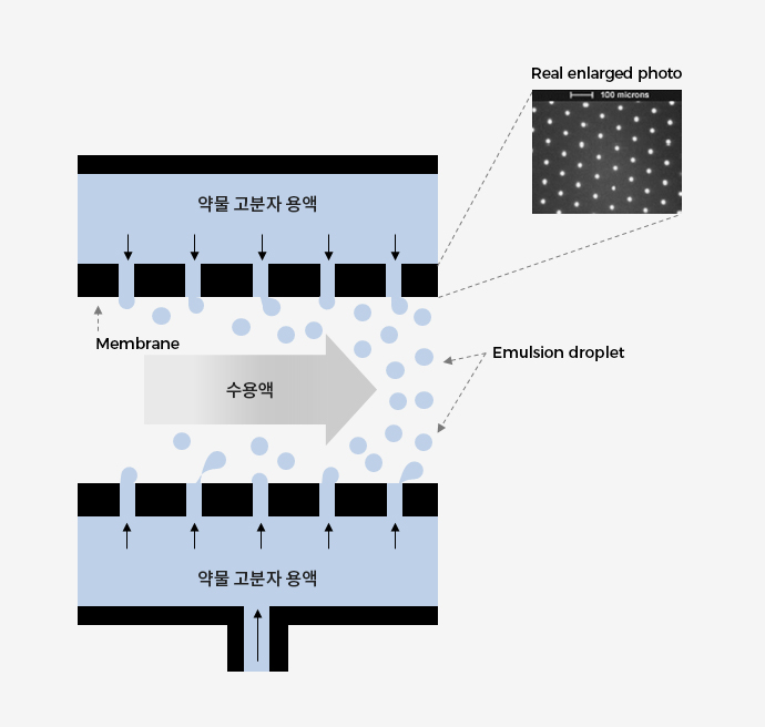 약물 고분자 용액과 수용액이 막을 통과해 유화 방울을 만드는 막유화 공정 도식