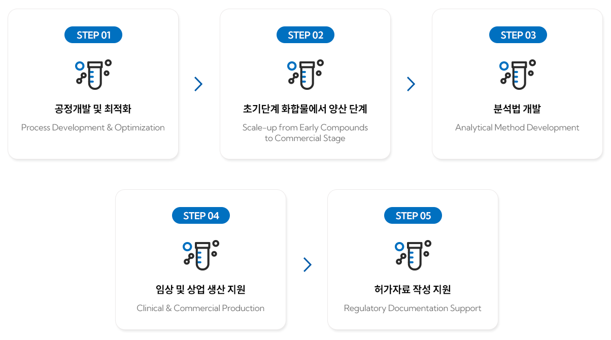 공정개발부터 상업생산·허가자료 지원까지의 CDMO 서비스 흐름 공정개발 및 최적화부터 상업생산과 허가자료 작성 지원까지 이어지는 에이치엘지노믹스 CDMO 서비스 흐름