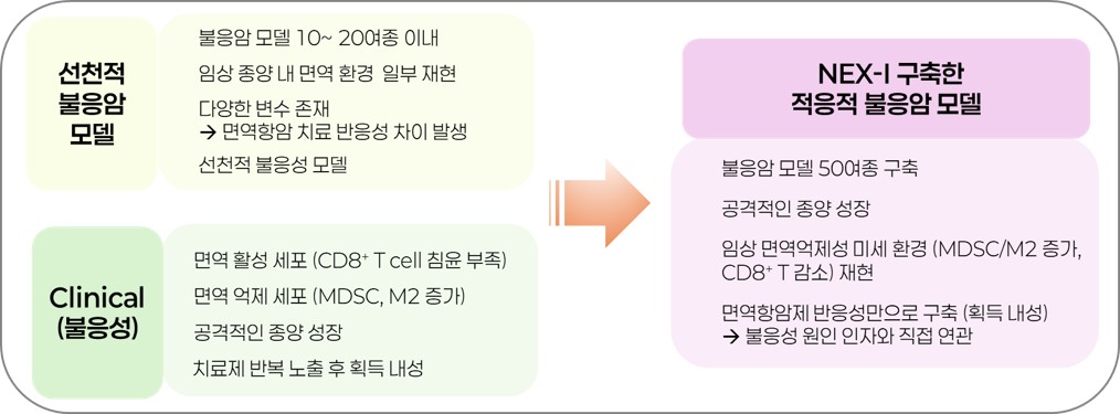 선천적 불응암 모델과 NEX-I의 적응적 불응암 모델을 대비한 개념도