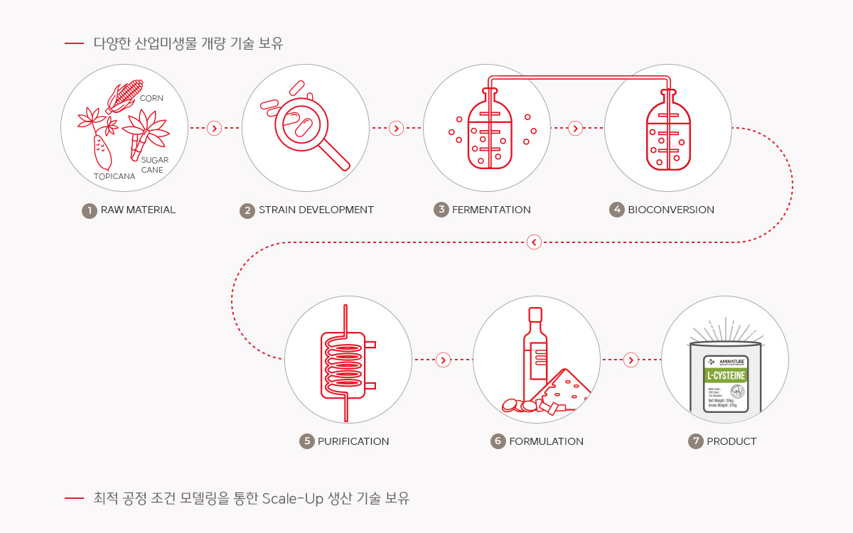 산업 미생물 기반 발효·정제 공정 원료부터 균주 개발, 발효, 정제, 제형화, 제품까지의 바이오 생산 공정도