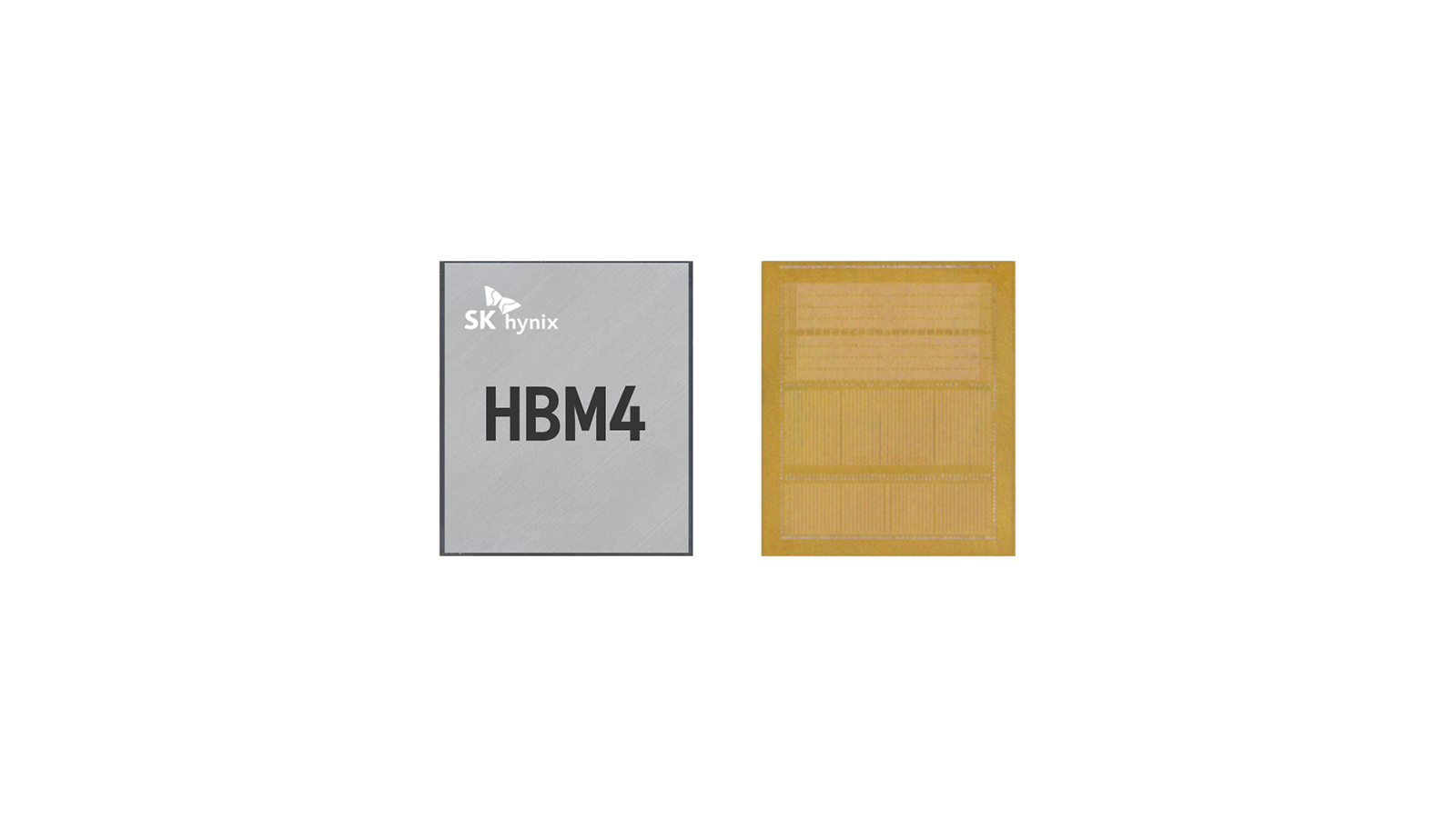 2025년 공개한 SK하이닉스 12단 HBM4. SK하이닉스가 2025년 3월 HBM4 샘플 출하 보도에서 공개한 12단 HBM4 제품 앞면과 후면